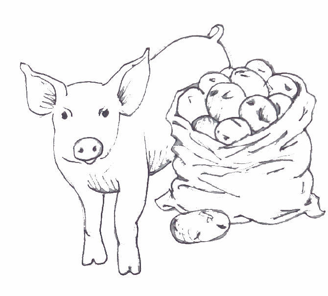 Regionaler Partner von Restaurant Ritter: Zentgraf Hilders