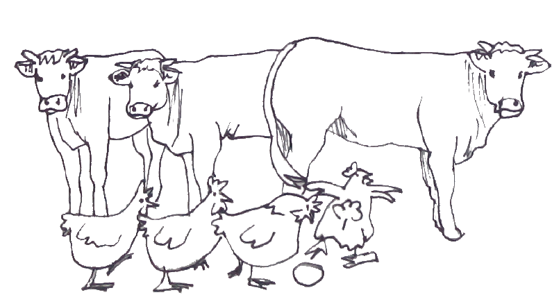 Regionaler Partner von Restaurant Ritter: Stadtbauer Niederrode 